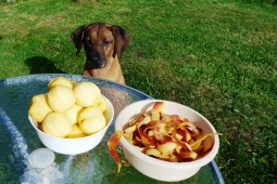 Не варенье — объеденье!