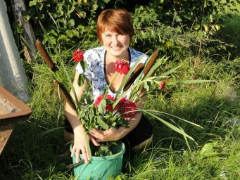 Елена Елена