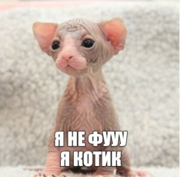Иретка Иретка
