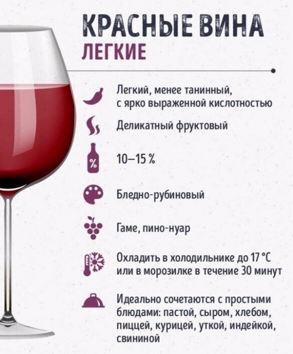 Шпаргалки для тех, кто любит вино Шпаргалки для тех, кто любит вино