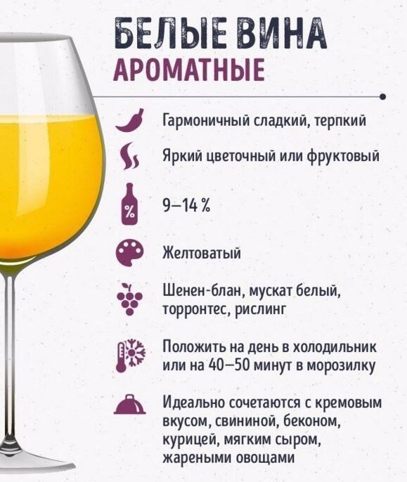 Шпаргалки для тех, кто любит вино Шпаргалки для тех, кто любит вино