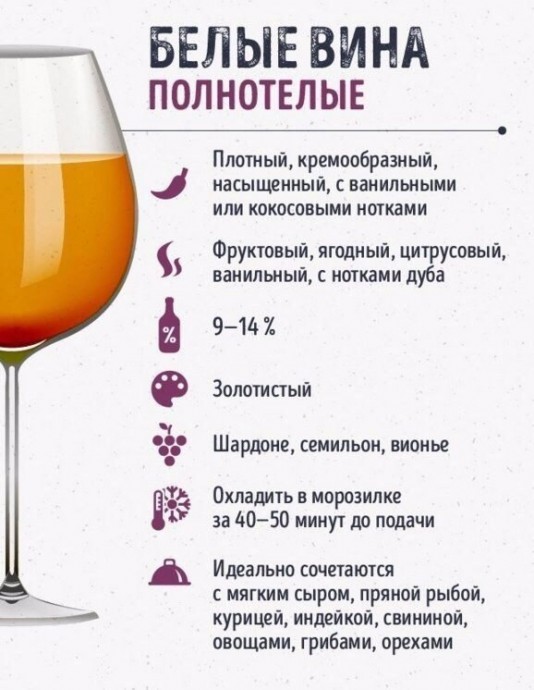 Шпаргалки для тех, кто любит вино Шпаргалки для тех, кто любит вино