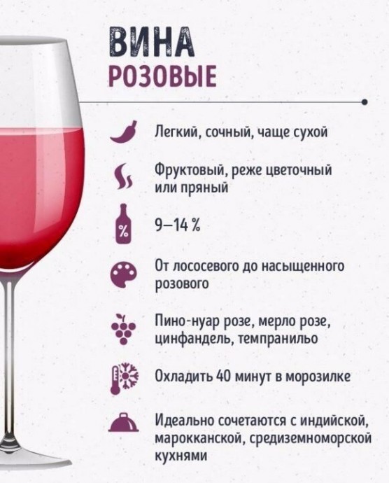 Шпаргалки для тех, кто любит вино Шпаргалки для тех, кто любит вино