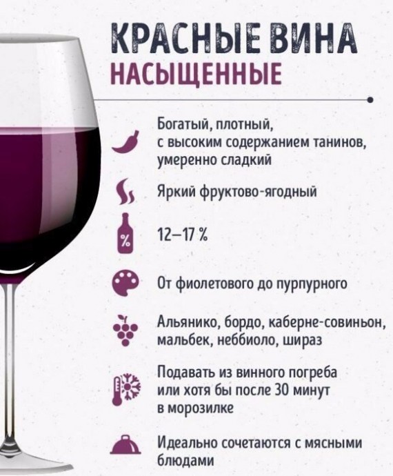 Шпаргалки для тех, кто любит вино Шпаргалки для тех, кто любит вино