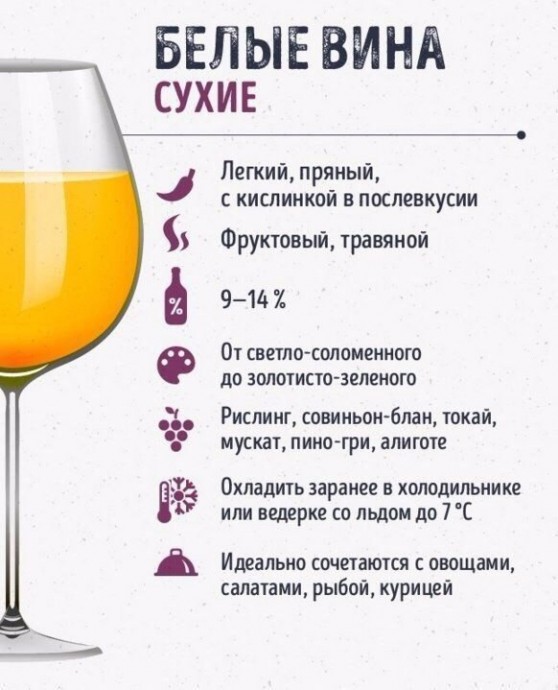 Шпаргалки для тех, кто любит вино Шпаргалки для тех, кто любит вино
