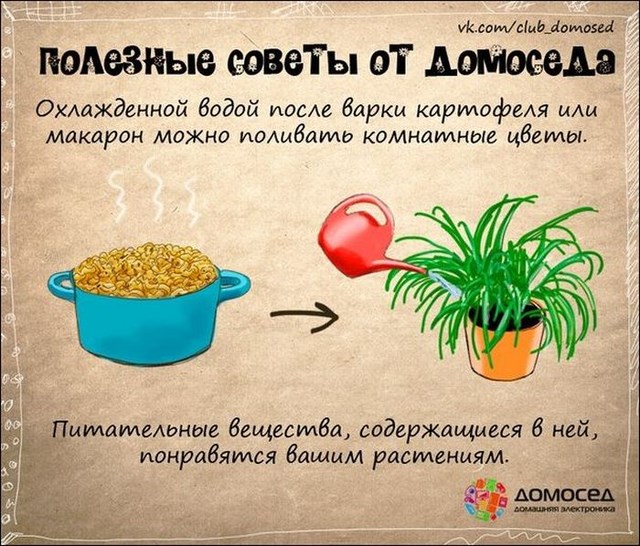 Полезные советы  от Домоседа