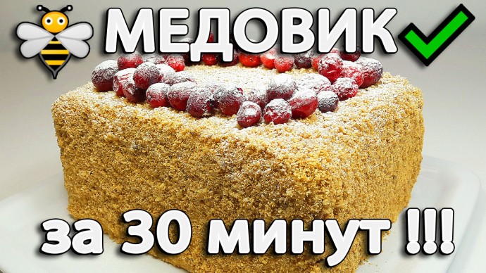 Медовик без раскатки коржей за 30 минут (со сметанным кремом)